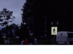 pic1043495326.jpg
