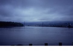 pic1043495352.jpg