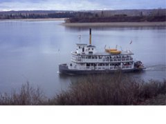 pic1043500523.jpg