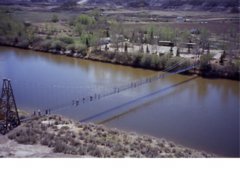 pic1043588733.jpg