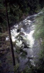 pic1078185794.jpg