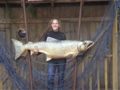 pic1085648922.jpg