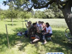 pic1119363821.jpg