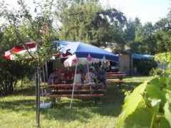 pic1119363926.jpg