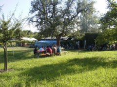 pic1119363938.jpg