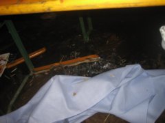pic1120745724.jpg