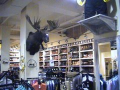pic1123181424.jpg