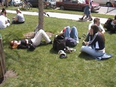 pic1123181451.jpg