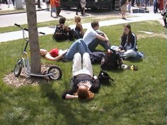 pic1123181457.jpg