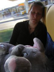 pic1128523803.jpg