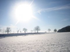 pic1136145936.jpg