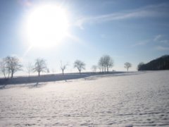 pic1136145939.jpg