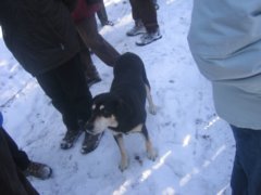 pic1136145950.jpg