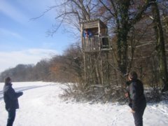 pic1136146013.jpg