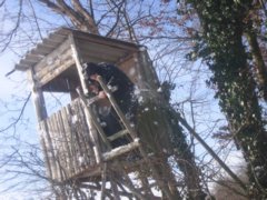 pic1136146041.jpg