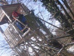 pic1136146047.jpg