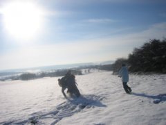 pic1136146066.jpg