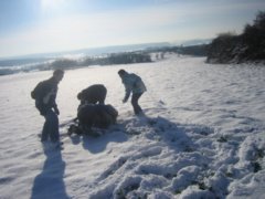 pic1136146070.jpg