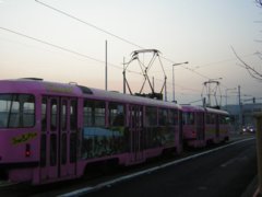 pic1138890040.jpg