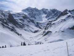 pic1143890656.jpg