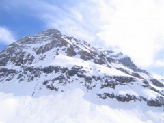 pic1143890660.jpg