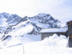 pic1143890664.jpg
