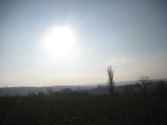 pic1230549122_0.76013800.jpg
