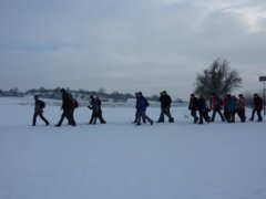 pic1294075093_0.71855800.jpg