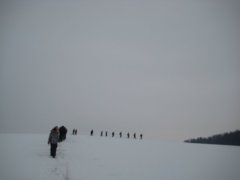 pic1295797482_0.98739400.jpg