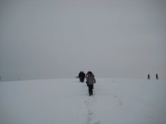 pic1295797483_0.23602700.jpg