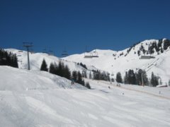 pic1364933932_0.90269900.jpg