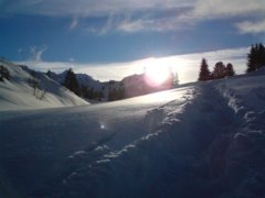 pic1425722721_0.11579200.jpg
