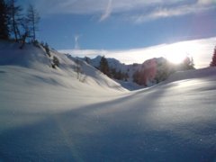 pic1425722722_0.42435700.jpg