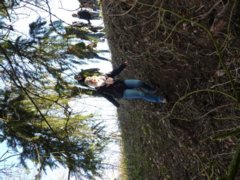 pic1451753575_0.91107800.jpg