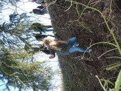 pic1451753577_0.94717900.jpg