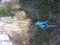 pic1490205158_0.83425500.jpg