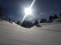 pic1558382252_0.46471900.jpg